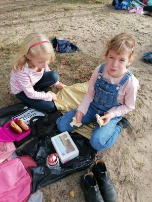 img 20221028