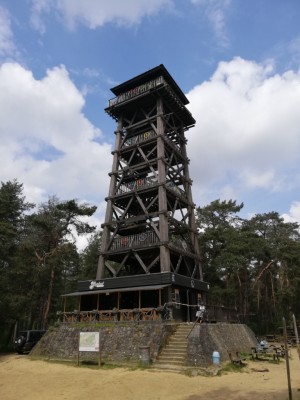 IMG 20210603 125203