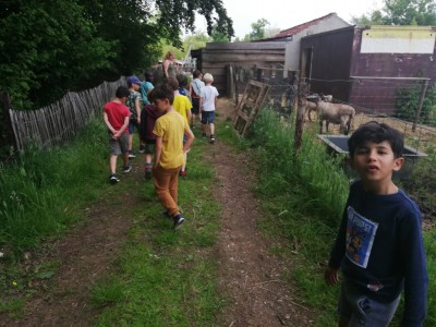 IMG 20210604 131421