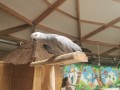 img 20260622