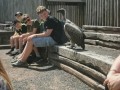 img 20260622