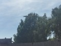 img 20260622