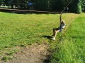img 20260625