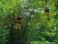 img 20260625
