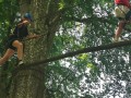 img 20260625