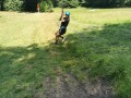 img 20260625