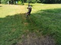 img 20260625