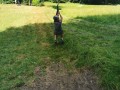 img 20260625