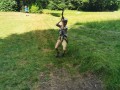 img 20260625