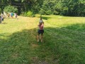 img 20260625