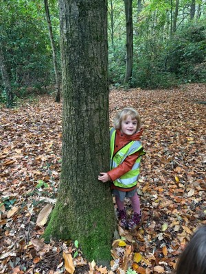 image00001