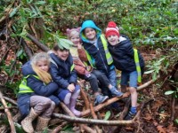 Herfstbeleving: naar het bos