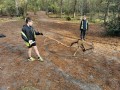 img 20241025