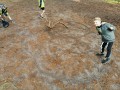 img 20241025