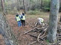 img 20241025