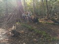 img 20241025