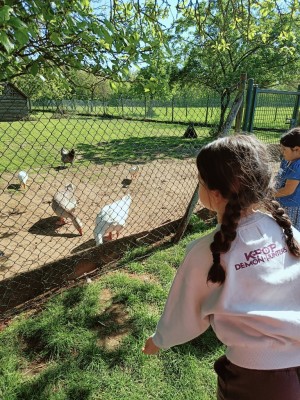 1000047865